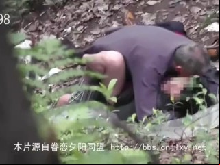 老头树林嫖野鸡